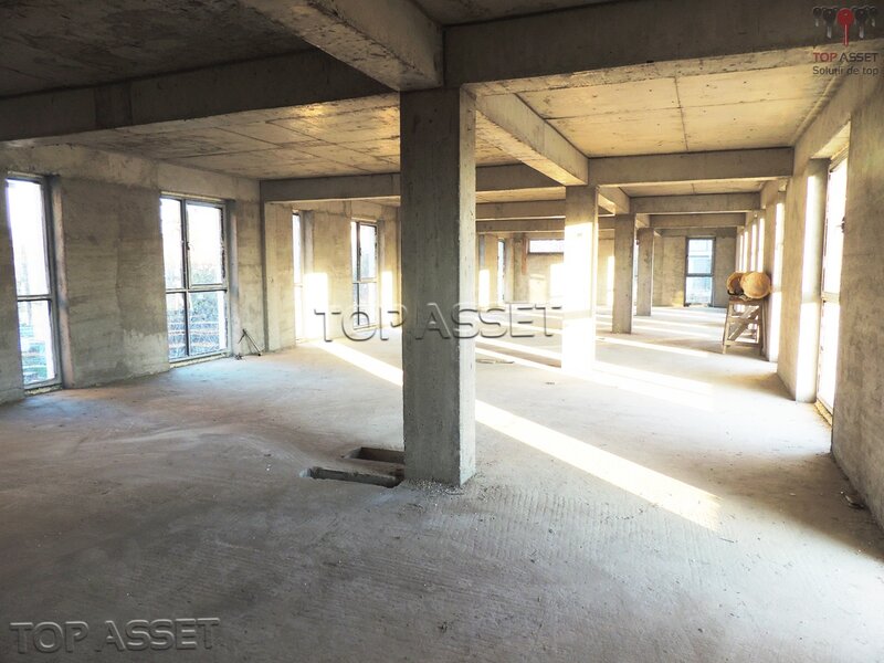 NORDUL CAPITALEI Gheorghe Ionescu Sisesti