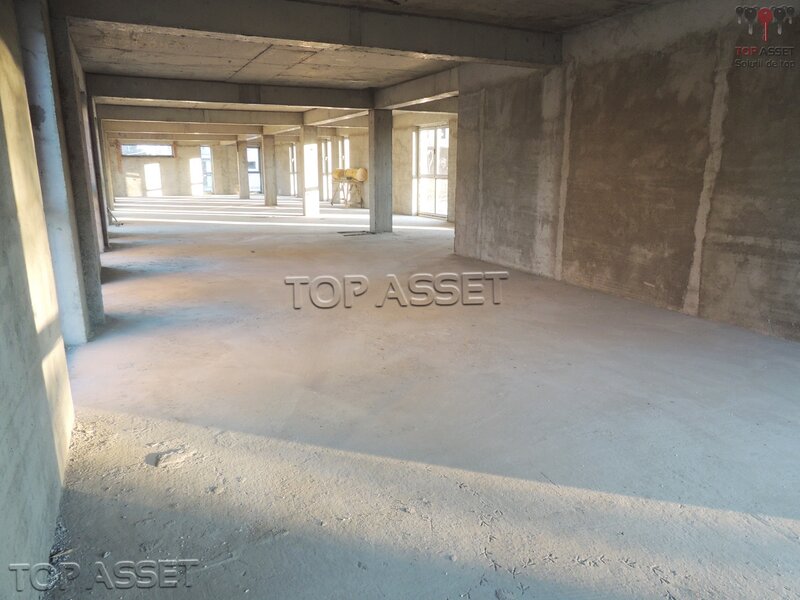 NORDUL CAPITALEI Gheorghe Ionescu Sisesti