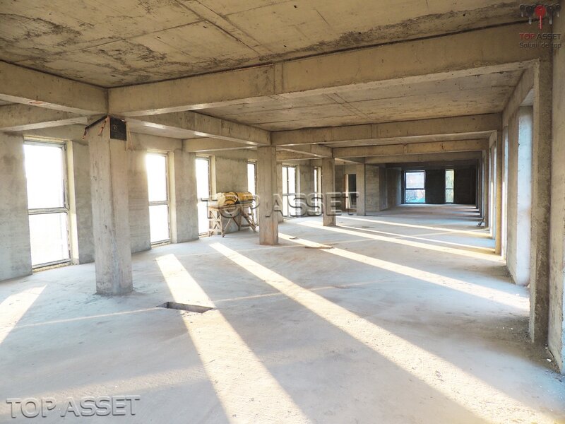 NORDUL CAPITALEI Gheorghe Ionescu Sisesti