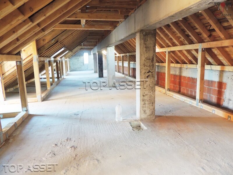 NORDUL CAPITALEI Gheorghe Ionescu Sisesti